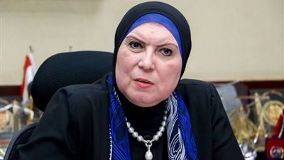 وزيرة الصناعة: آليات مرنة وبسيطة بالتعاون مع 