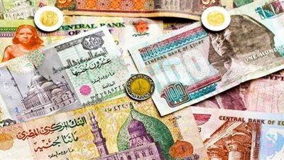 وزير المالية يعتمد مواعيد صرف أجور يناير وفبراير ومارس.. تعرف عليها