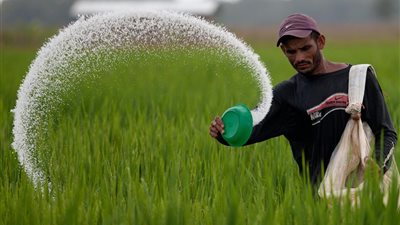 «الزراعة» ترفع سعر طن الأسمدة رسميًا لـ 2959 جنيهًا