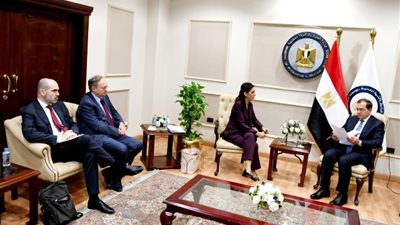 وزير البترول يلتقي رئيسة فريق عمل منصة الطاقة بالمفوضية الأوروبية