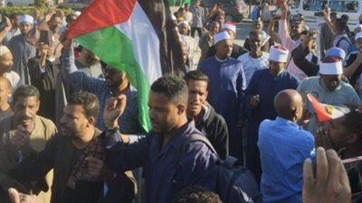 صور..العاملون بـ«مصر العليا لتوزيع الكهرباء» ينظمون مسيرات حاشدة لدعم غزة بأسوان