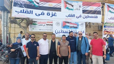 «شمال الدلتا»للكهرباء تشارك في مسيرات دعم القضية الفلسطينية وتفويض الرئيس السيسي