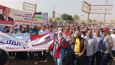 يقودها «فؤاد»..مسيرة حاشدة ل«شمال القاهرة» للكهرباء للتنديد بالعدوان علي غزة وتفويض الرئيس السيسي