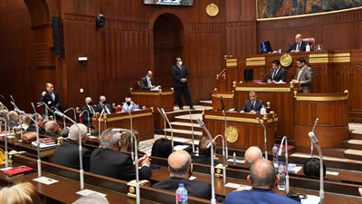 بحضور وزيري البترول والزراعة.. مجلس الشيوخ يستكمل اليوم مناقشة دراسة صناعة الأسمدة