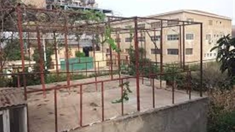 عالم الطاقة