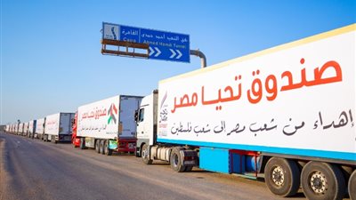 مصر قدمت 5208 أطنان من حجم المساعدات الإنسانية المقدمة لغزة