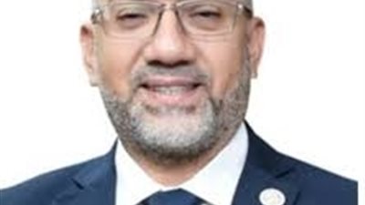 هانى إسماعيل:«بريق» من أفضل الكيانات المالية لقطاع الكهرباء