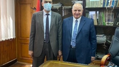 هشام عبد الجواد رئيسا لقطاع الموارد البشرية بجنوب الدلتا للكهرباء