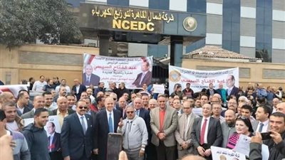 يقودها «عفيفى» و«فؤاد»..مسيرة حاشدة لدعم وتأييد «السيسى»فى الإنتخابات الرئاسية