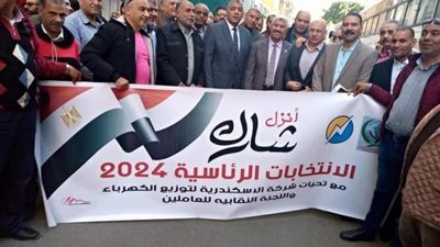 لليوم الثانى..«الاسكندرية للكهرباء» تحشد موظفيها للتصويت فى الانتخابات الرئاسية