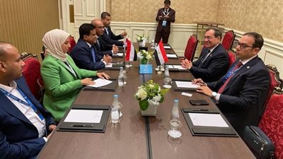 مباحثات مع وزير الطاقة اليمنى والأمين العام لمنظمة الدول المصدرة للغاز خلال مؤتمر الطاقة العربى