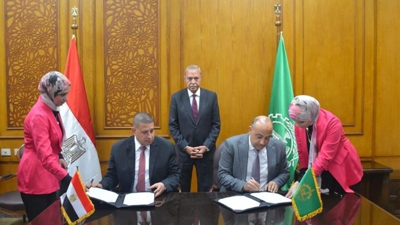 عالم الطاقة