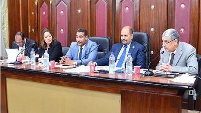 شركتي القناة والاسكندرية أمام «طاقة النواب» للرد على طلبات إحاطة حول مشكلات الكهرباء