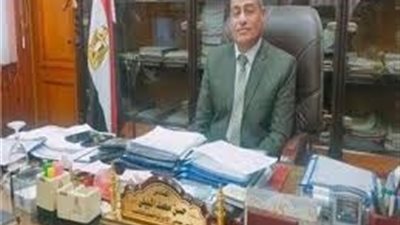 حركة تغييرات محدودة ب«جنوب الدلتا»للكهرباء