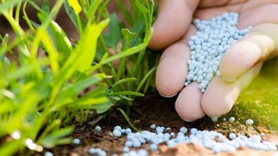 روسيا تعتزم زيادة إنتاج الأسمدة 10% العام المقبل