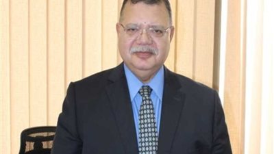 حمدي عبدالعزيز: نتوقع دخول اكتشافات جديدة نهاية العام المقبل