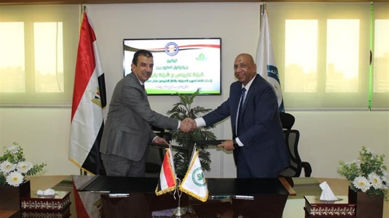عالم الطاقة