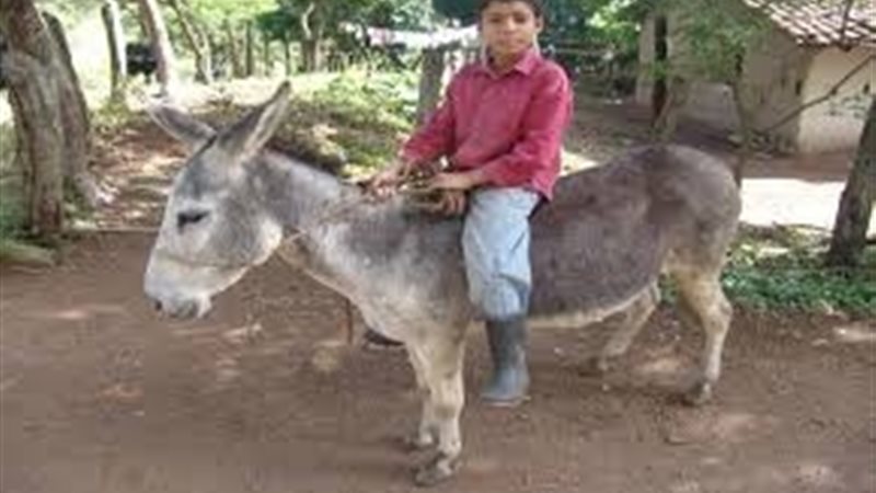 عالم الطاقة