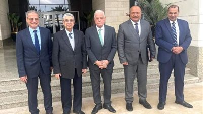 محافظ «جنوب سيناء» يلتقى وزير الكهرباء لمناقشة توصيل التيار لبعض المناطق