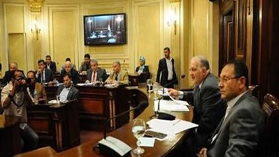 نواب لجنة الطاقة ينتقدون التراجع عن كارت البنزين  ويطالبوا بتدخل للقضاء