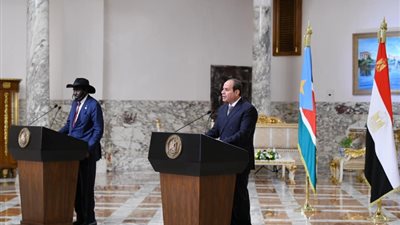 تفاصيل إعادة تأهيل محطات الكهرباء المصرية في جنوب السودان