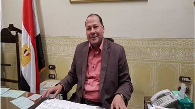 خاص ..الإطاحة بمحمد عبد العليم من رئاسة «البحيرة للكهرباء» فى التغيير الجديد