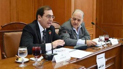 «طاقة النواب» توافق على تحويل أحد موارد جهاز تنظيم الغاز للخزانة العامة