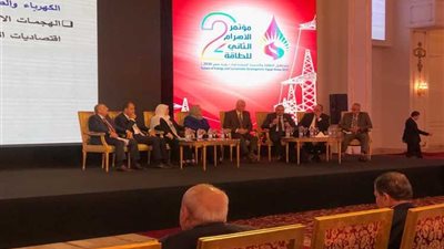 دلال حسين: «الكهرباء» مستعدة لتغذية محطات تحليه المياه بقدرة ١٢ مليار متر مكعب سنويًا