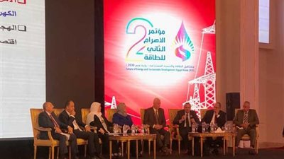 نائب رئيس «السويدى اليكتريك»: الشركات المصرية قادرة على إنشاء مشروعات الكهرباء العملاقة خارجيًا