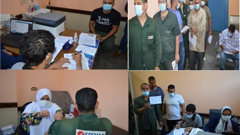 عالم الطاقة