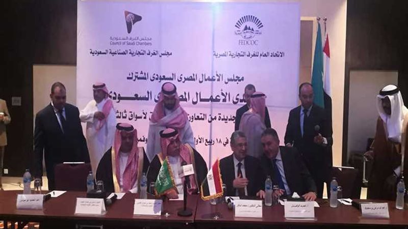 عالم الطاقة