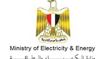 شبهة قانونية تهدد ببطلان قرارت رؤساء شركات الكهرباء