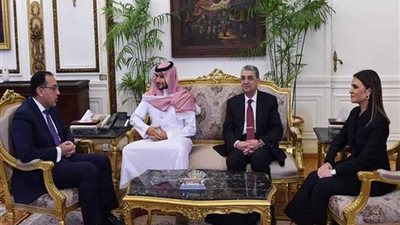 رئيس الوزراء يلتقى الرئيس التنفيذي لشركة كي بي دبليو للاستثمار