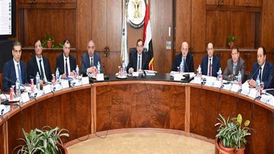 وزير البترول يترأس أعمال اجتماع الجمعية العامة لـ«إيجاس»