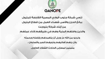 جنوب الوادى للبترول  تنعى شهداء بتروجيت