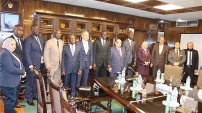 لقاء مصرى كوتيفوارى لبحث مجالات التعاون فى مجالات الكهرباء