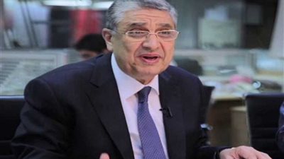 وزير الكهرباء يلتقي الرئيس التنفيذى لـ«سيمنس مصر»