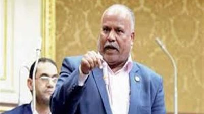 برلماني: 120 نائبًا يؤيدون فصل هيئة الثروة المعدنية عن «البترول»