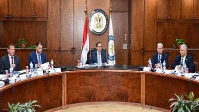 خلال الجمعية العامة.. نائب رئيس «روهربمبن»: 185 مليون جنيه حجم أعمال بالاستفادة من استراتيجية «البترول» في تعظيم المكون المحلى