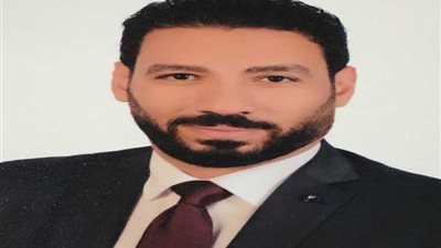 محمد العليمى يكتب:-مصر تثأر لشهدائها