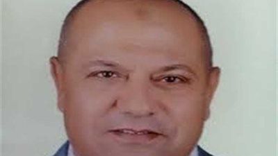 كهرباء مصر العليا : ٢٦ مولد بقدرات ٩ ميجا وات لتأمين مؤتمر الشباب الأفريقي