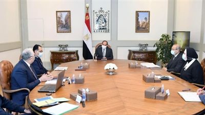 الرئيس السيسي يوجه بتطوير منظومة إنتاج الأسمدة لزيادة رقعة الأراضي الزراعية