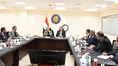 وزيرا البترول والبيئة يعقدان اجتماعاً للتوصل لإطار عمل لمشروعات التقاط الكربون واستخدامه وتخزينه