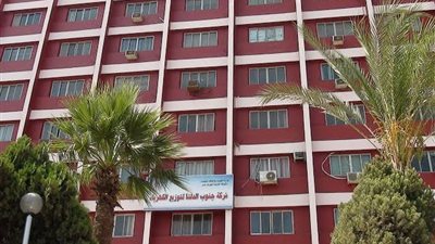بعد النشر عن تضرر 700 ورشة.. «جنوب الدلتا لتوزيع الكهرباء» ترد علي «عالم الطاقة»