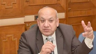 الانتهاء من تركيب 1632 كشاف وعامود إنارة علي دولي كفر الدوار