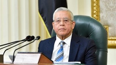 خلاف في النواب على احتساب تكلفة الكهرباء.. وعبد الفتاح: الدعم مستمر ونخسر 20 قرشا في كل كيلووات