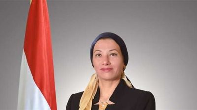 7 مليارات لتنفيذ الإصحاح البيئي لمشروعات معالجة مياه الصرف الصناعي بخليج السويس