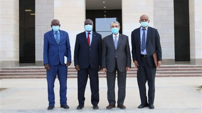 وزير الكهرباء يبحث مع نظيره السودانى سرعة انتهاء المرحلة الثانية من الربط