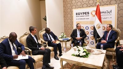 وزير البترول يبحث مجالات التعاون مع البنك الدولى