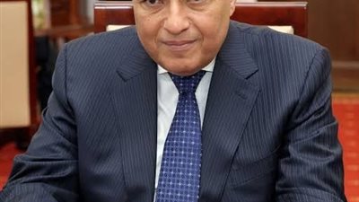 مصر تدين استهداف مصفاة البترول بالرياض